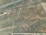 40 acres Off Of Hwy 56 - Photo 5