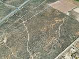 40 acres Off Of Hwy 56 - Photo 6
