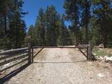 95 Rim Rd - Photo 37