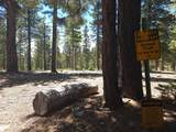 95 Rim Rd - Photo 41