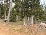 646 Ski View Dr - Photo 53