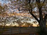 85 300 - Photo 25