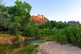 2428 Zion Park Blvd - Photo 2