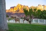 2428 Zion Park Blvd - Photo 21
