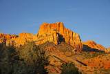 2428 Zion Park Blvd - Photo 22
