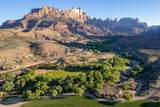 2428 Zion Park Blvd - Photo 46