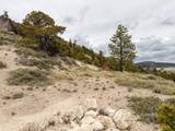  Lot 69 Forest Garden - Photo 12