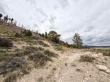  Lot 69 Forest Garden - Photo 4