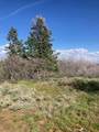 271 Whispering Pines Rd - Photo 3
