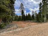 175 Lupin Ln - Photo 1