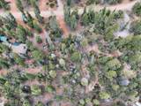 175 Lupin Ln - Photo 10