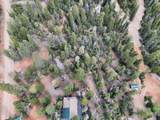 175 Lupin Ln - Photo 11