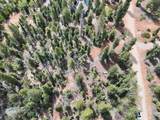 175 Lupin Ln - Photo 12