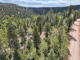 175 Lupin Ln - Photo 15