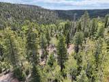 175 Lupin Ln - Photo 16