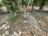 175 Lupin Ln - Photo 18