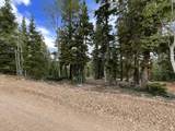 175 Lupin Ln - Photo 3