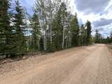 175 Lupin Ln - Photo 5