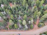 175 Lupin Ln - Photo 6