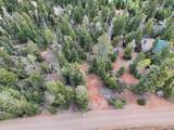 175 Lupin Ln - Photo 7