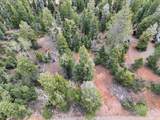175 Lupin Ln - Photo 8
