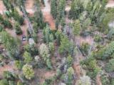 175 Lupin Ln - Photo 9