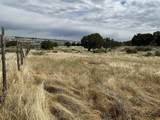 5 acres on Westview Drive - Photo 1