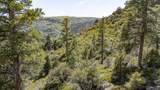 3706 Aspen Way - Photo 51