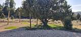  Ouray Cir - Photo 10