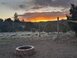  Ouray Cir - Photo 11