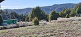  Ouray Cir - Photo 13