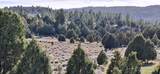  Ouray Cir - Photo 15