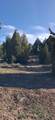  Ouray Cir - Photo 16