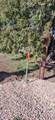  Ouray Cir - Photo 17