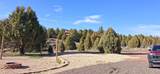  Ouray Cir - Photo 21