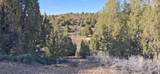  Ouray Cir - Photo 23