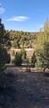  Ouray Cir - Photo 24