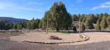  Ouray Cir - Photo 27