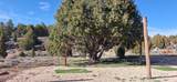  Ouray Cir - Photo 5