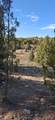  Ouray Cir - Photo 7