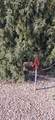  Ouray Cir - Photo 9