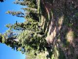 6220 Brook Ln - Photo 9