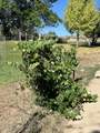 135 300 - Photo 26