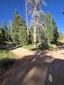 5680 Berry Lp - Photo 38