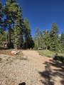 5680 Berry Lp - Photo 45