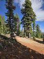 5680 Berry Lp - Photo 56