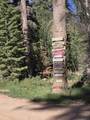 5680 Berry Lp - Photo 59