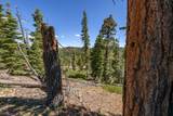 5150 North Fork Rd - Photo 63