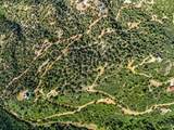  Fitzwater Drive - Photo 17