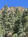 4330 Blackfoot Dr - Photo 15